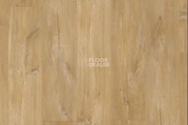 Плитка ПВХ Quick Step Livyn Balance Glue Plus ДУБ КАНЬОН НАТУРАЛЬНЫЙ BAGP40039 фото 1 | FLOORDEALER